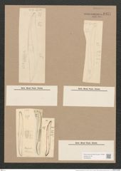 Pleurosigma wansbeckii Donk. (de-Toni-Nr.: Genus 13, Species 1069) Zeichnungen Sammlung Grunow Nr. 1931 (NHMW-BOT-W0369063)